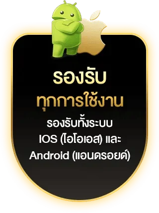 รองรับทุกการใช้งาน g2gricobet